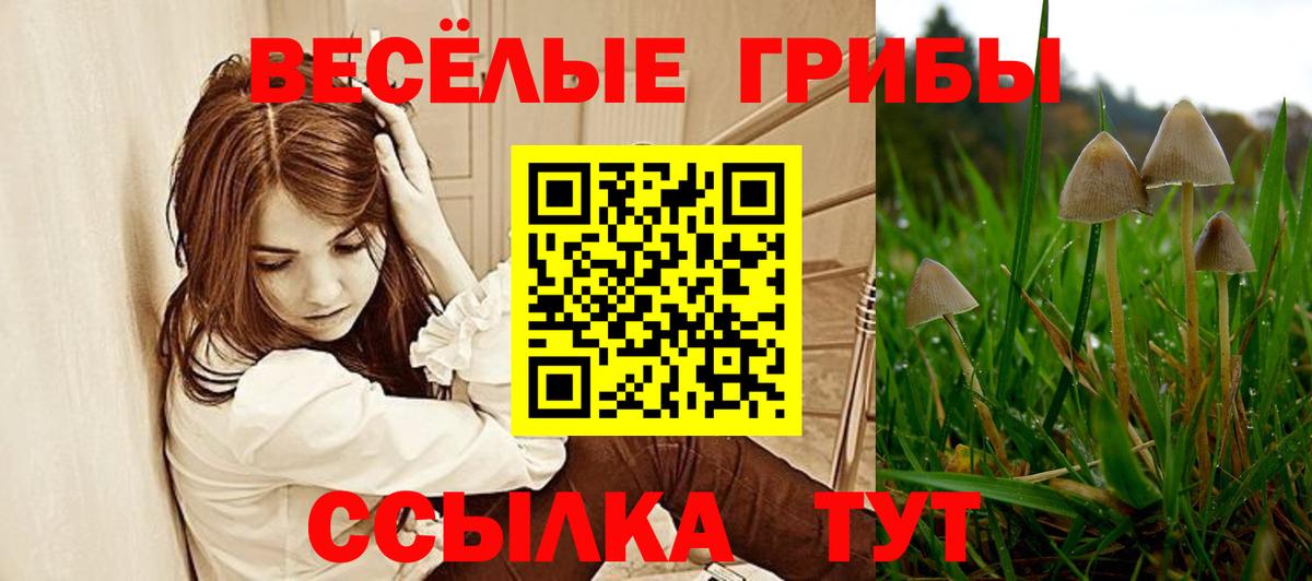 Галлюциногенные грибы Cubensis Находка