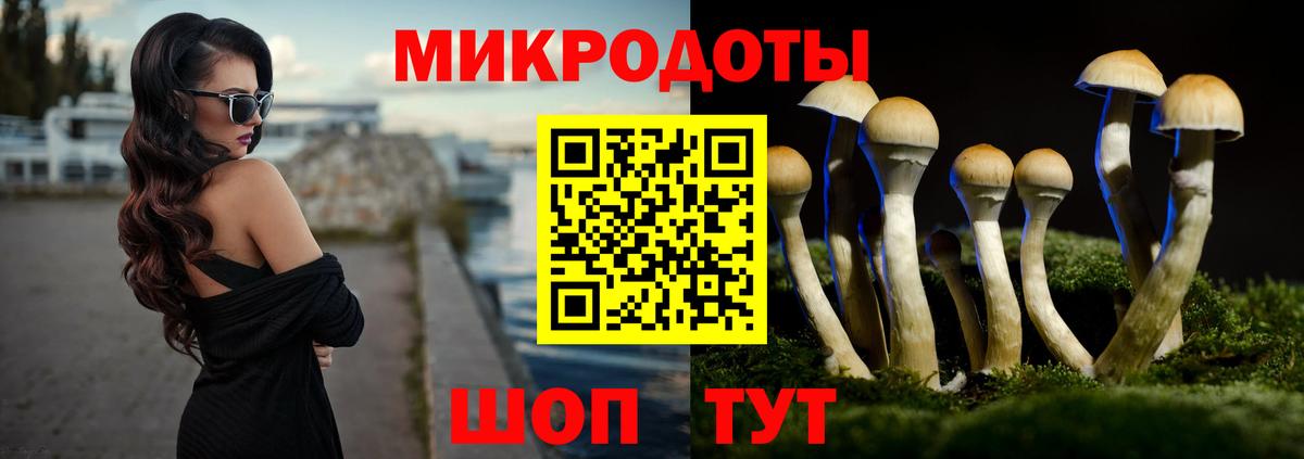 Находка  Псилоцибиновые грибы MAGIC MUSHROOMS  Вход с VPN 